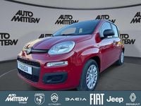 Neu Fiat Panda Icon 65 PS (47 kW) 2026 Rot Kleinwagen