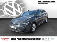 Gebraucht VW Golf VIII Life 150 PS (110 kW) 2023 Grau Kombi