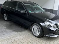 gebraucht Mercedes E250 BlueTEC 4MATIC T ELEGANCE Autom. ELEGANCE