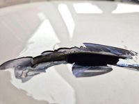 Gebraucht BMW 116 122 PS (89 kW) 2008 Weiß Kleinwagen