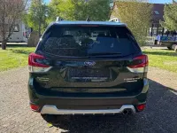 Occasion Subaru Forester Active 150 ch (110 kW) 2023 Vert SUV