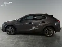 Neu Lexus UX 300h Sport Design Packet 200 PS (147 kW) 2026 Grau SUV
