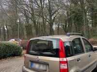 Gebraucht Fiat Panda 60 PS (44 kW) 2010 Gold Kleinwagen