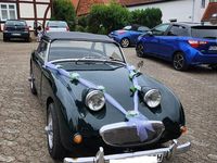 Gebraucht Austin Healey Sprite 1961 Grün Cabrio