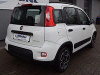 Gebraucht Fiat Panda City Life 69 PS (50 kW) 2022 Bianco divino/zenit/ghiaccio/g Limousine