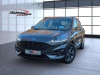 Gebraucht Ford Kuga ST-Line 150 PS (110 kW) 2023 Grau SUV