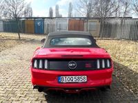 gebraucht Ford Mustang Cabrio 5.0 Ti-VCT V8 Black Shadow Edition