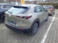 Neu Mazda CX-30 Prime-Line 140 PS (102 kW) 2025 Grau SUV
