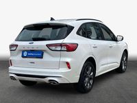 Gebraucht Ford Kuga ST-Line 120 PS (88 kW) 2023 White platinum SUV