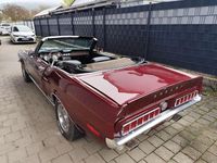 Gebraucht Ford V8 230 PS (169 kW) 1968 Rot Cabrio