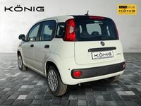 Neu Fiat Panda 69 PS (50 kW) 2025 Schwarz Kleinwagen