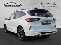 Neu Ford Kuga ST-Line X 242 PS (177 kW) 2026 Weiß SUV