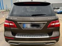 gebraucht Mercedes ML350 BlueTec