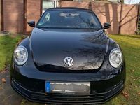 Gebraucht VW Beetle 105 PS (77 kW) 2016 Schwarz Kleinwagen