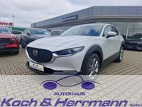 Neu Mazda CX-30 Center-Line 140 PS (102 kW) 2026 SUV