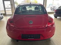 gebraucht VW Beetle Lim. Design, Leder, Park Pilot, 1.Hd.