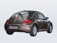 gebraucht VW Beetle 1.2 TSI DESIGN PANO XENON SITZHZ Tiemeyer automobile GmbH & Co. KG Tiemeyer automobile GmbH & Co. KG