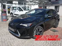 Gebraucht Lexus UX 250h 184 PS (135 kW) 2021 Schwarz SUV