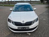 Gebraucht Skoda Octavia 116 PS (85 kW) 2019 Weiß Kombi