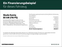 Gebraucht Skoda Kamiq Style 116 PS (85 kW) 2020 Grau SUV
