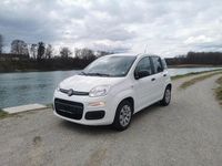 Gebraucht Fiat Panda 69 PS (50 kW) 2014 Weiß Kleinwagen