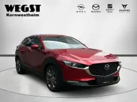 Gebraucht Mazda CX-30 Selection 180 PS (132 kW) 2020 Andere SUV