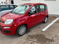 Neu Fiat Panda 69 PS (50 kW) 2025 Rot Kleinwagen