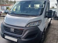 Gebraucht Fiat Ducato 179 PS (131 kW) 2024 Grau Van