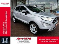 Gebraucht Ford Ecosport Titanium X 125 PS (91 kW) 2019 Polar silber metallic SUV