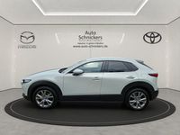 Gebraucht Mazda CX-30 Exclusive-Line 150 PS (110 kW) 2024 Weiß SUV