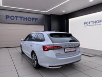 Gebraucht Skoda Octavia 150 PS (110 kW) 2025 Moonweiß perleffekt Kombi