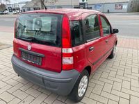 Gebraucht Fiat Panda Active 54 PS (39 kW) 2009 Garanzarot Kleinwagen