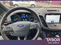 gebraucht Ford Kuga 1.5 EB 175 Aut. 4x4 ST-Line Nav Kam AHK