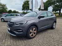 Gebraucht Opel Grandland X Innovation 131 PS (96 kW) 2020 Grau SUV