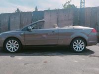 Gebraucht Ford Focus Cabriolet 136 PS (100 kW) 2007 Cabrio
