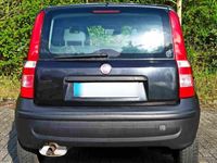 gebraucht Fiat Panda 11l 4-Türer Zahnriemen neu Allwetterreifen