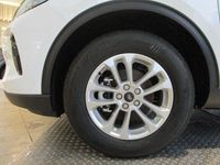 Gebraucht Ford Kuga Titanium 242 PS (177 kW) 2025 Frostweiß SUV