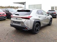 Gebraucht Lexus UX 184 PS (135 kW) 2021 Grau SUV