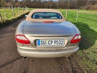 Gebraucht Jaguar XK8 284 PS (208 kW) 2000 Bronze Cabrio