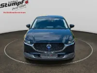 Gebraucht Mazda CX-30 Selection 180 PS (132 kW) 2023 Andere SUV