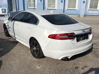 Gebraucht Jaguar XF R-Dynamic 241 PS (177 kW) 2013 Weiß Limousine