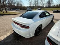 Gebraucht Dodge Charger 387 PS (284 kW) 2024 Weiß Limousine