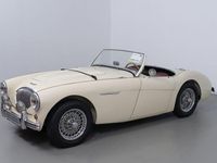 Brugt Austin Healey 100 90 HK (66 kW) 1954 Hvid Cabriolet