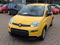Neu Fiat Panda 69 PS (50 kW) 2025 Gelb Kleinwagen