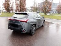 gebraucht Lexus UX 250h Executive 2WD