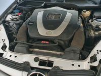 Gebraucht Mercedes SLK350 272 PS (200 kW) 2004 Silber Cabrio