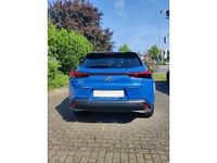 Gebraucht Lexus UX 184 PS (135 kW) 2021 Blau SUV