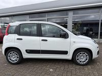 Neu Fiat Panda 69 PS (50 kW) 2025 Gelato weiss Kleinwagen