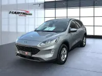 Usata Ford Kuga Cool & Connect 225 CV (165 kW) 2022 Argento SUV