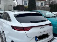 Gebraucht Kia ProCeed GT-Line 140 PS (102 kW) 2024 Weiß Kombi
